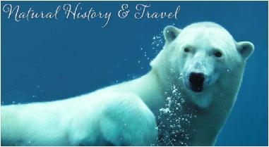 Natural History & Travel